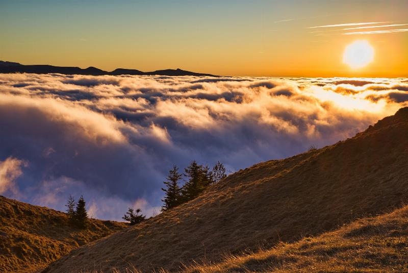 Ambiance chaleureuse et conviviale d’un restaurant typique sur la Rue des Gras à Clermont-Ferrand